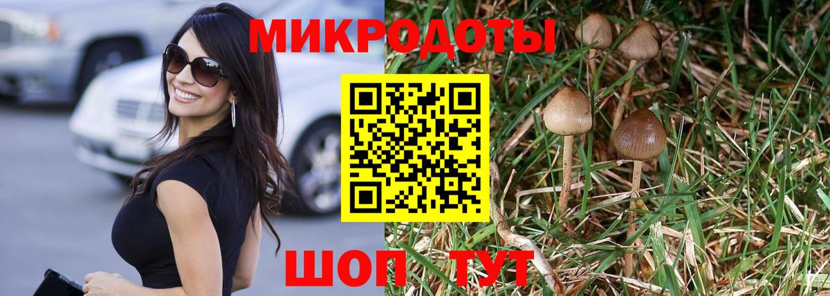 закладки  Вход с VPN  Унеча  Псилоцибиновые грибы мицелий 